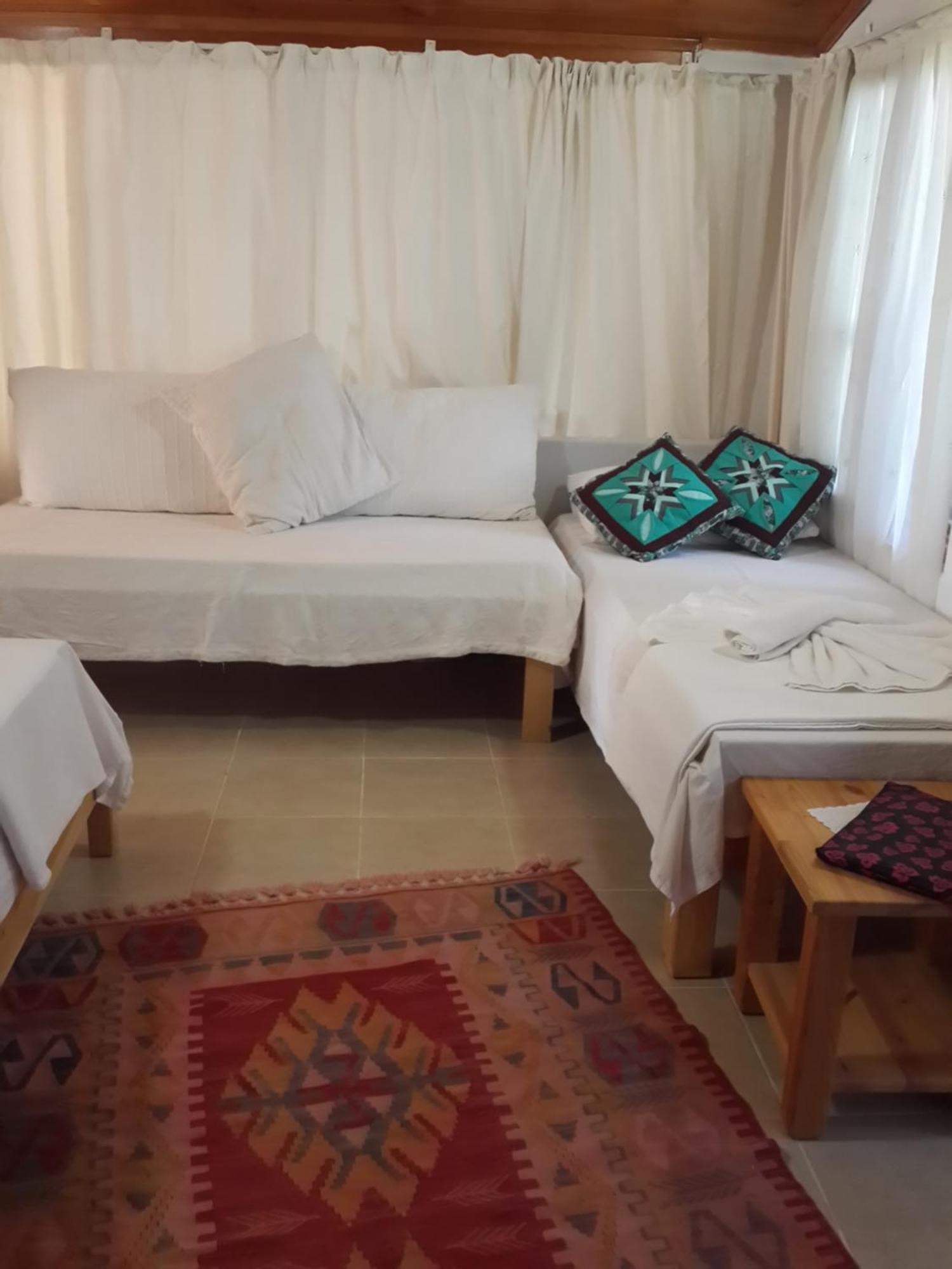 Cirali Kus Yuvasi Bed & Breakfast Room photo